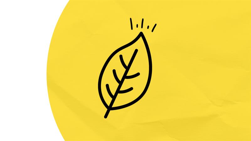 tobacco leaf on yellow background