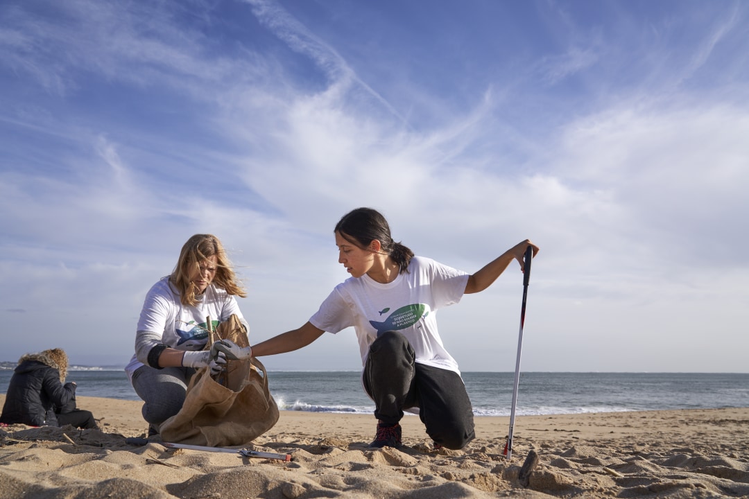 people cleaning up beach