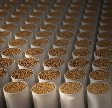 Close-up of tightly packed cigarette